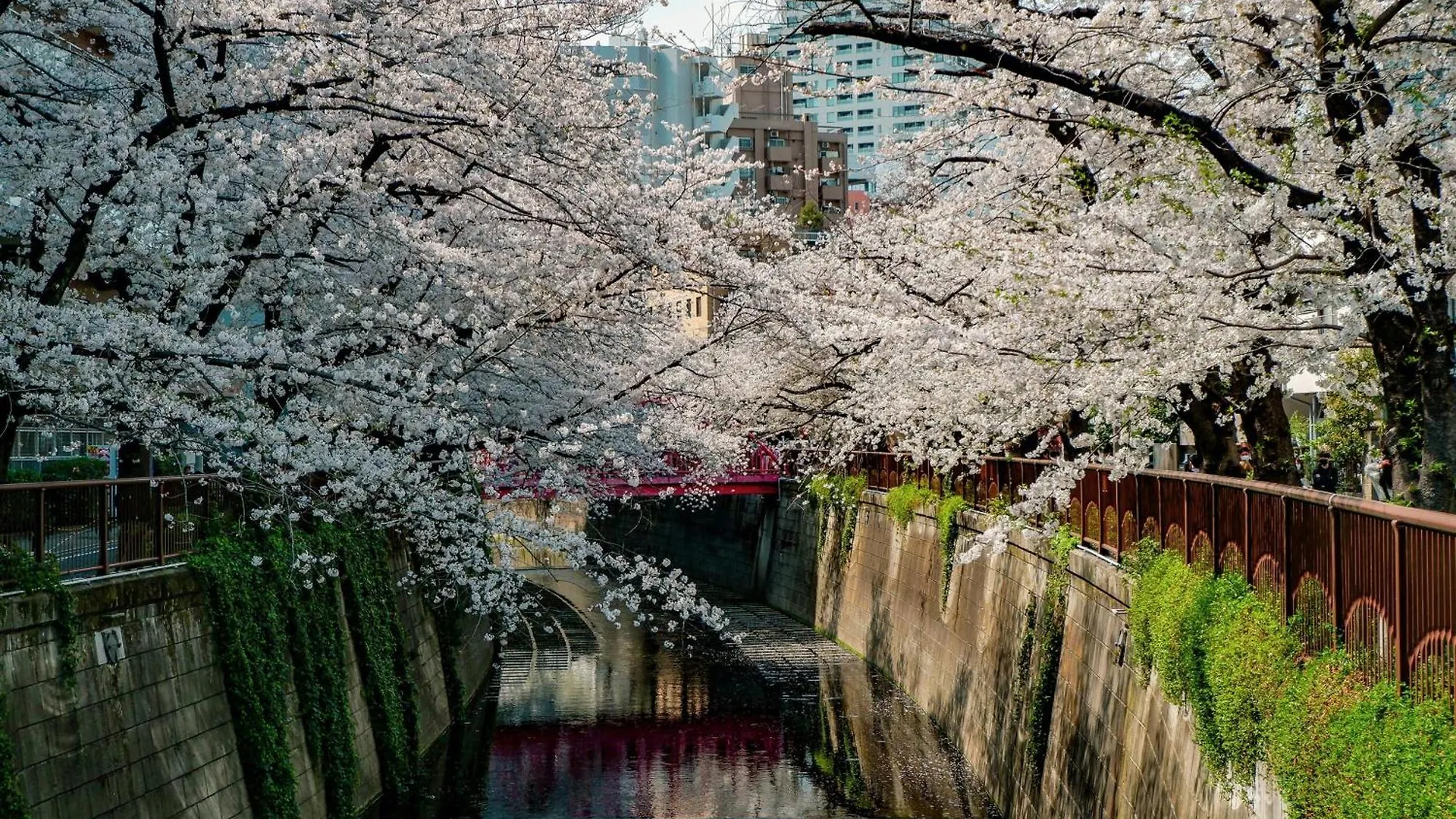 Illi Pal Gotanda Hotel Tokyo